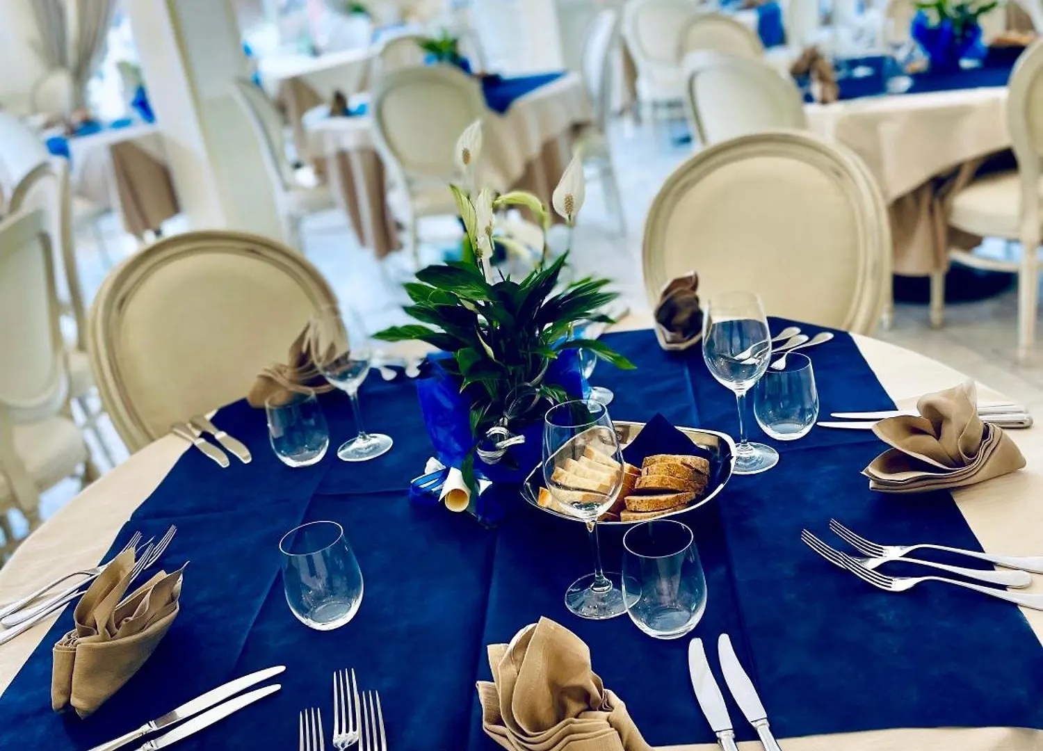 Hotel La Pigna Marina di Pietrasanta