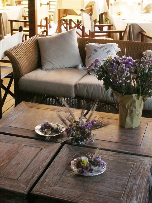 ***  Hotel La Pigna Marina di Pietrasanta Italy